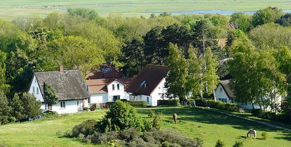 Bild zum Ratgeber Unterkünfte auf einer Ferieninsel