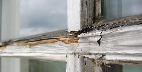 Bild zum Ratgeber Mit Gas sparsam umgehen