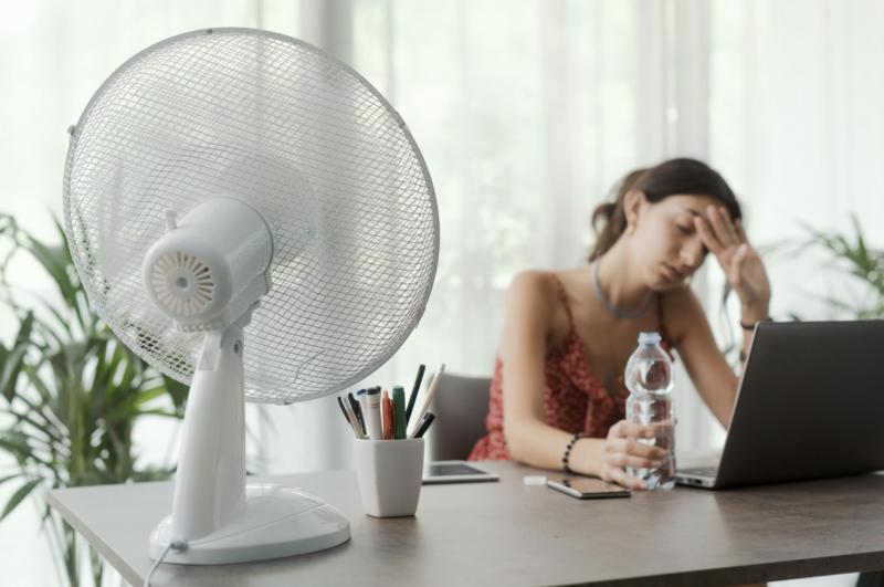 Bild zum Ratgeber Kühle Oase trotz Sommerhitze: So schützen Sie Ihr Zuhause vor Hitzewellen