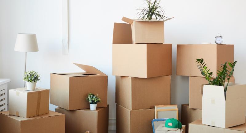Bild zum Ratgeber Schnell weg – Kosten und Planung bei kurzfristigen Umzügen