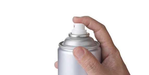 Bild zum Ratgeber Schutz vor Insekten – Wie halte ich die Plagegeister fern?