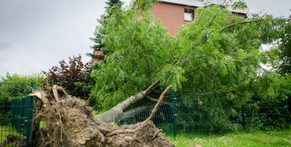Bild zum Ratgeber VPB rät: Sturmschäden schnell reparieren, nasse Keller gründlich trocknen