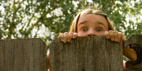 Bild zum Ratgeber Der Sichtschutzzaun – die einfache Lösung für mehr Privatsphäre