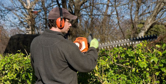 Bild zum Ratgeber Gärtner & Co. in der Steuererklärung absetzen