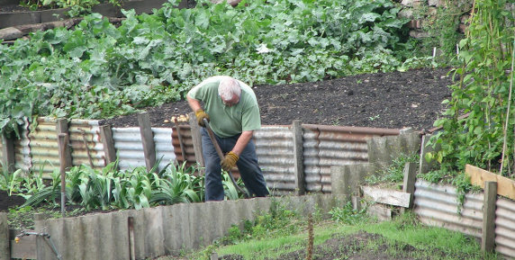 Bild zum Ratgeber Gartenarbeit im Alter