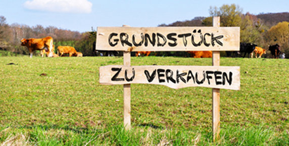 Bild zum Ratgeber Grundstückssuche mit Feng Shui