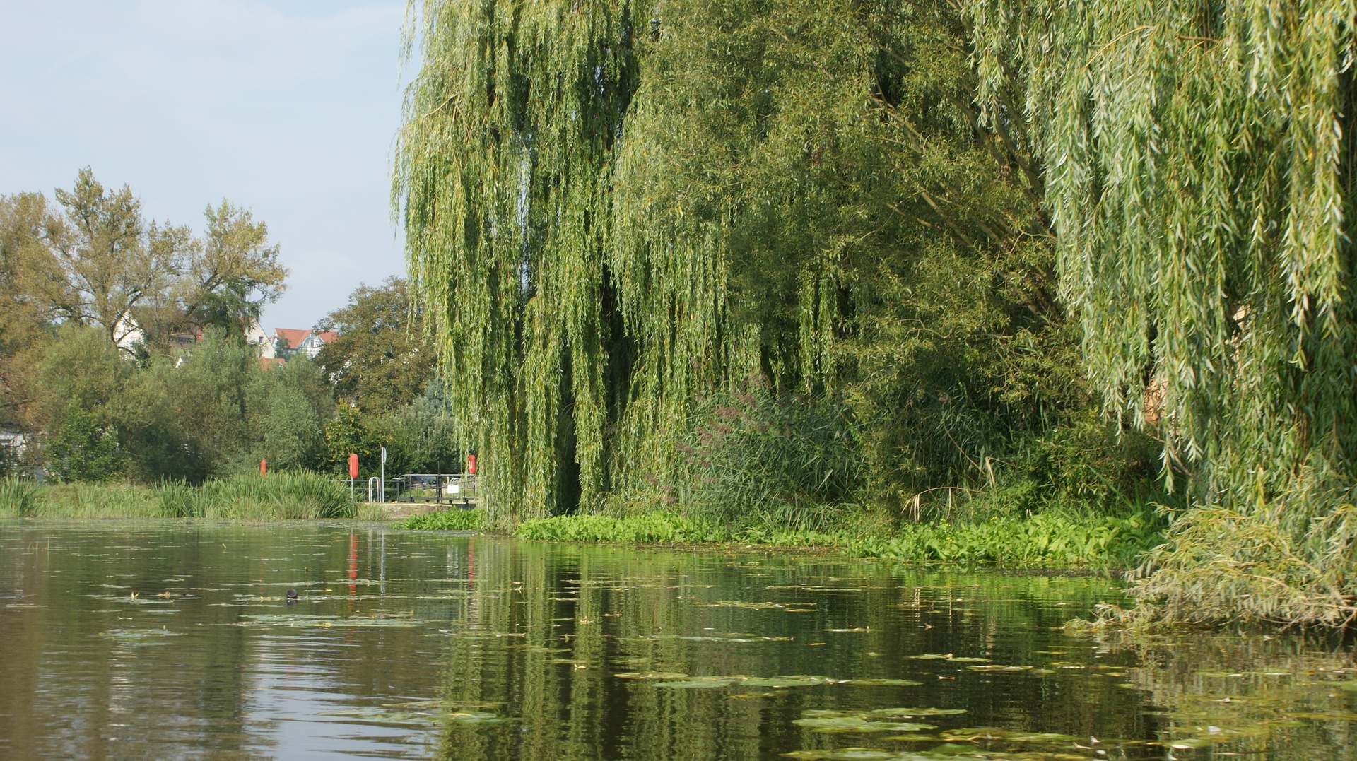 Fulda bietet mit seinen Parks auch viel Grün